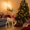 Warm White LED Reindeer Decoration, Indoor Outdoor Christmas Display